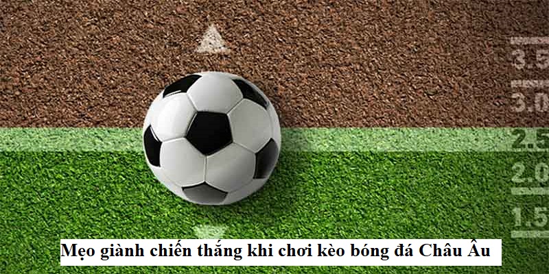 Chiến lược bắt kèo châu Âu hiệu quả