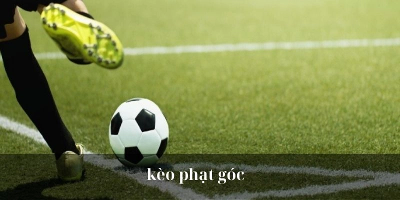 Tại sao nên chọn kèo phạt góc tại 123b?