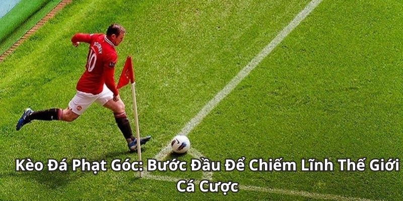 Phân tích chiến thuật – yếu tố sống còn khi bắt kèo