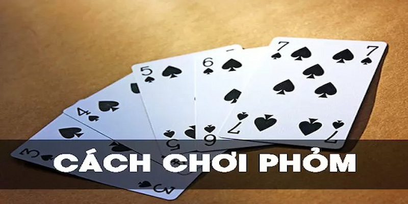 Phỏm